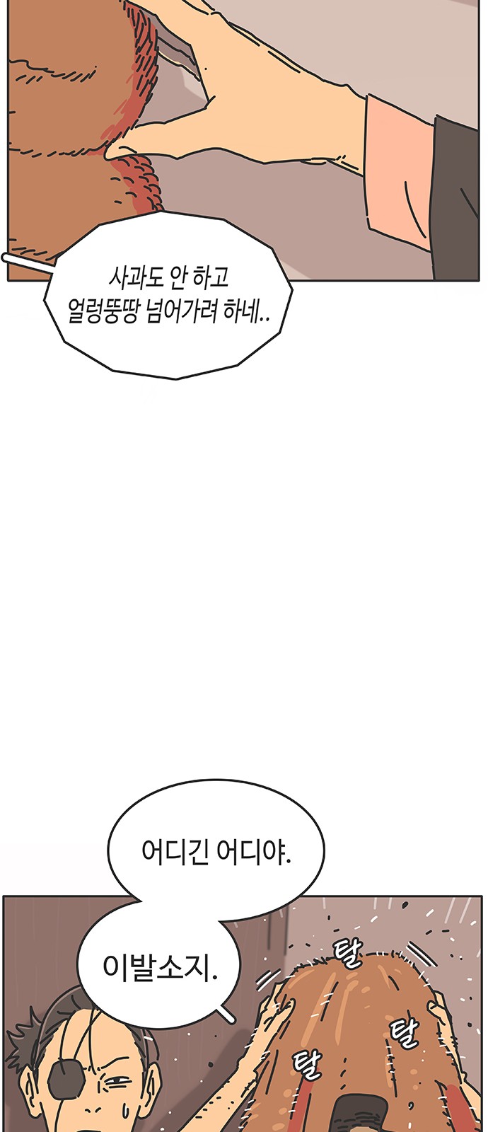 18 페이지