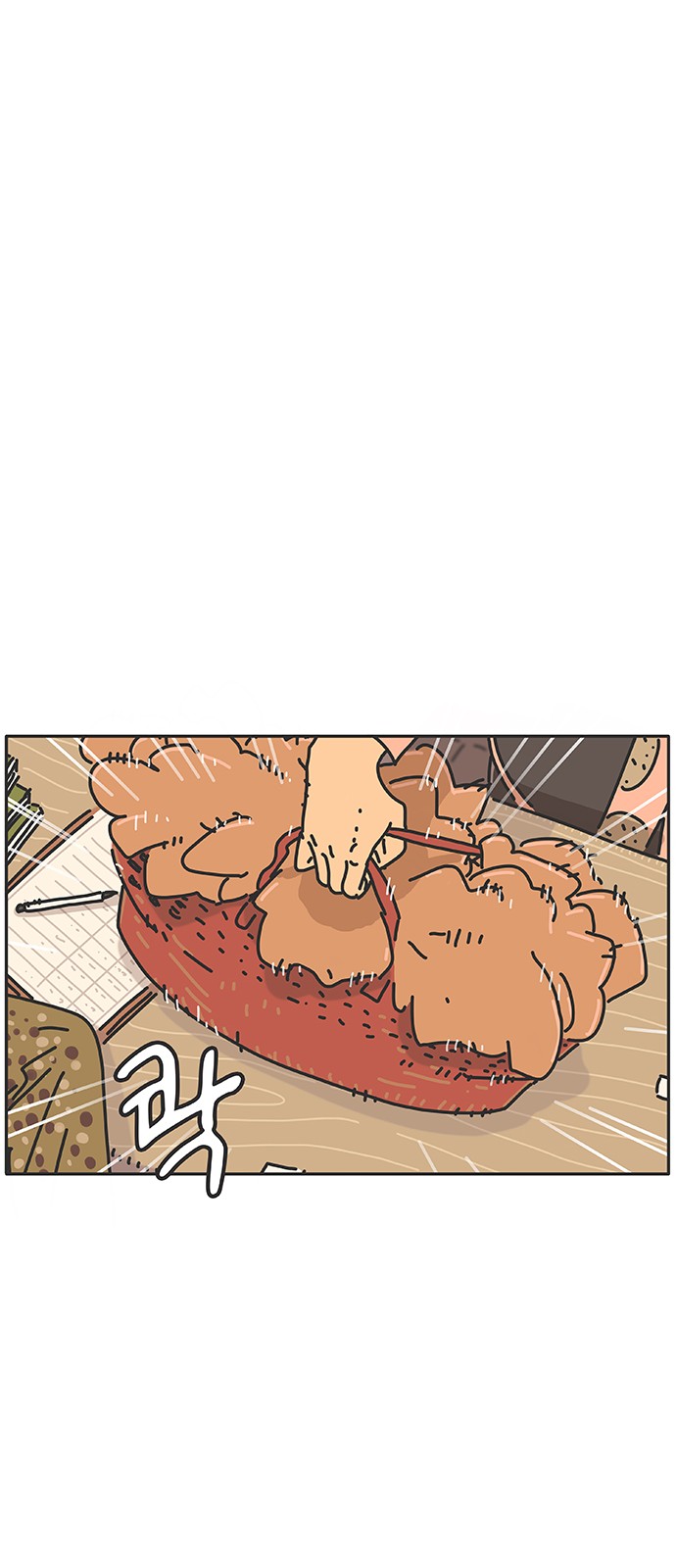 19 페이지