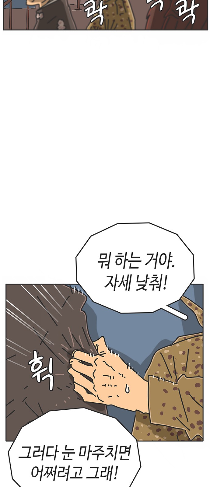 43 페이지