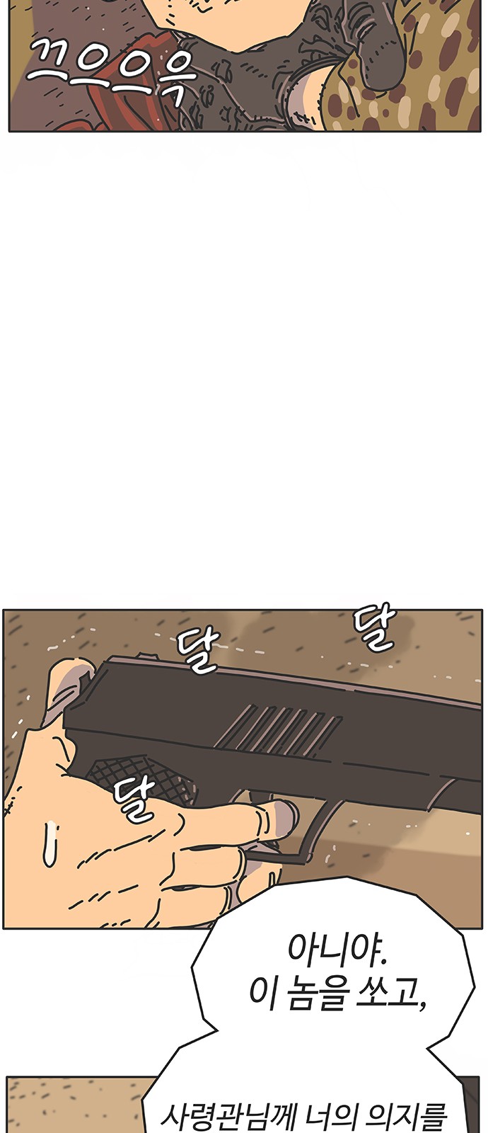 53 페이지