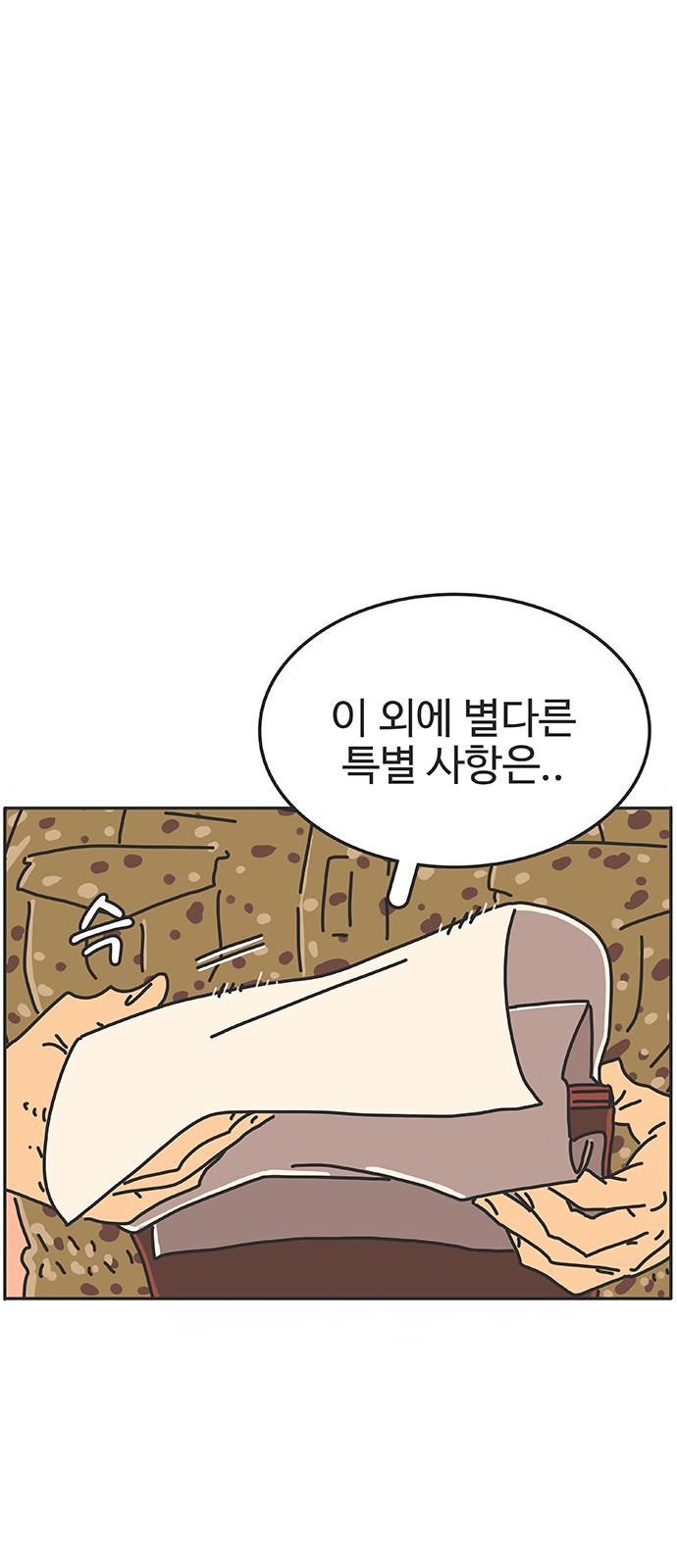 74 페이지