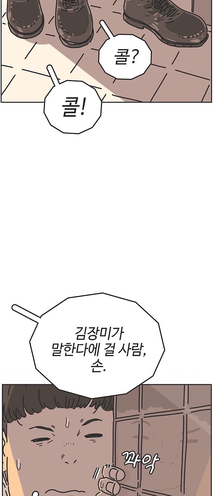 20 페이지