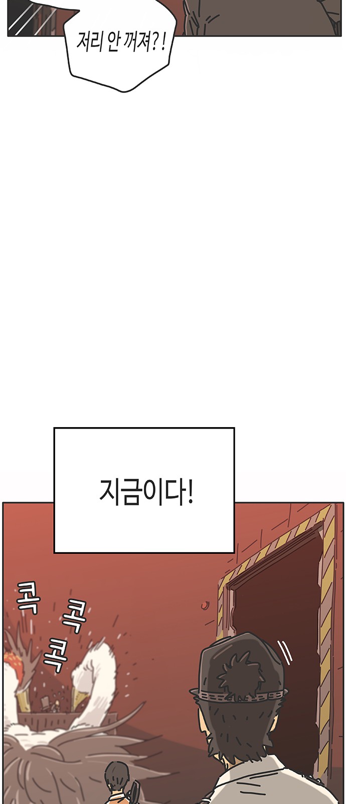 16 페이지