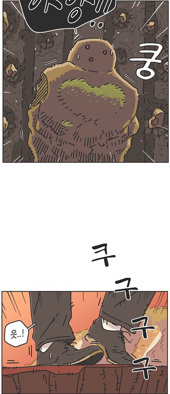 44 페이지
