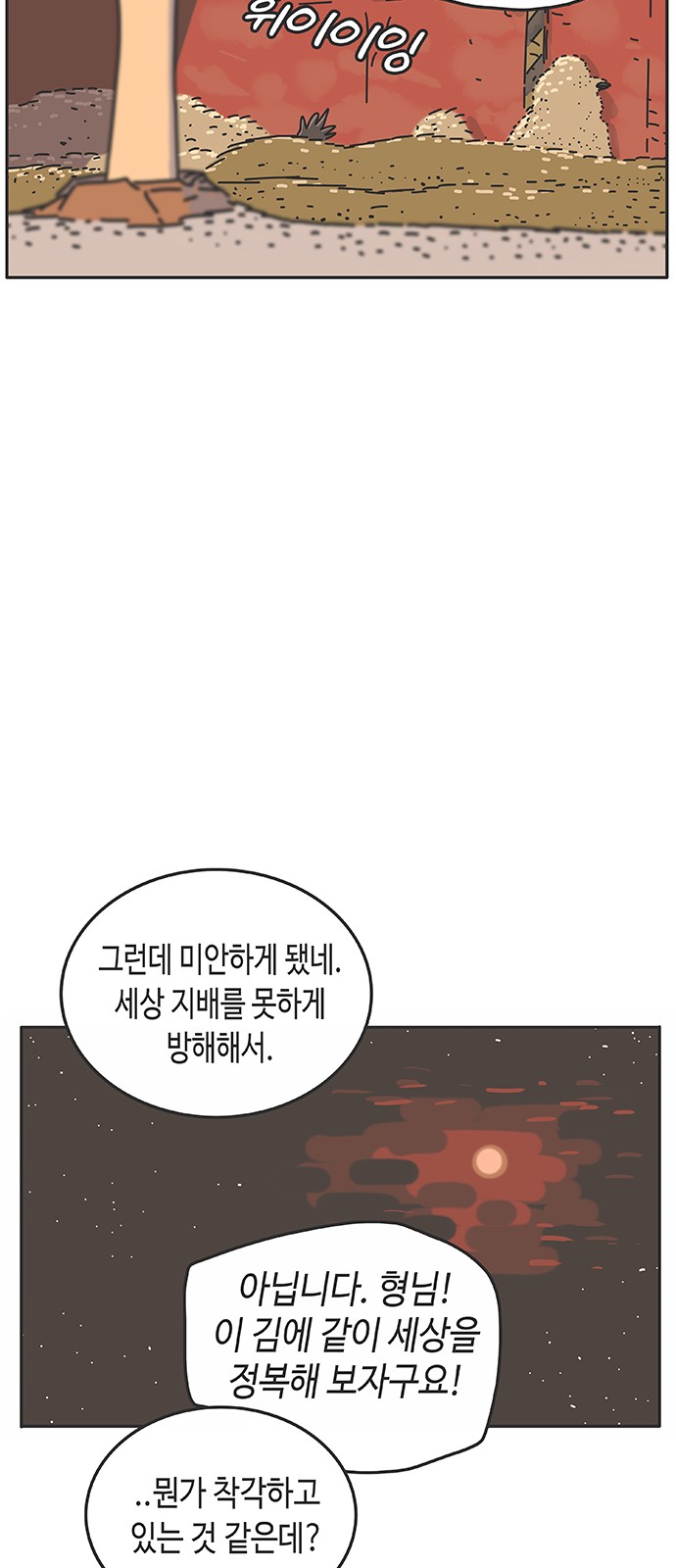 113 페이지