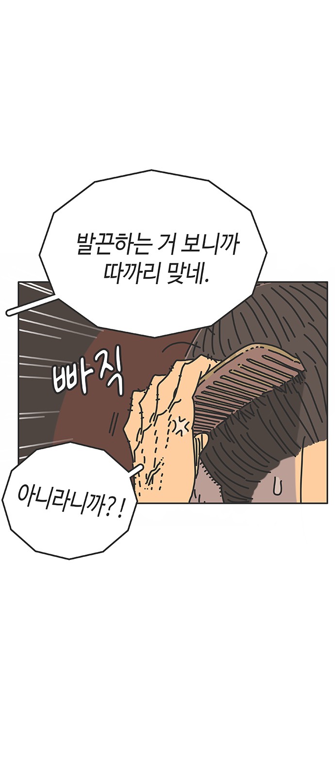 81 페이지