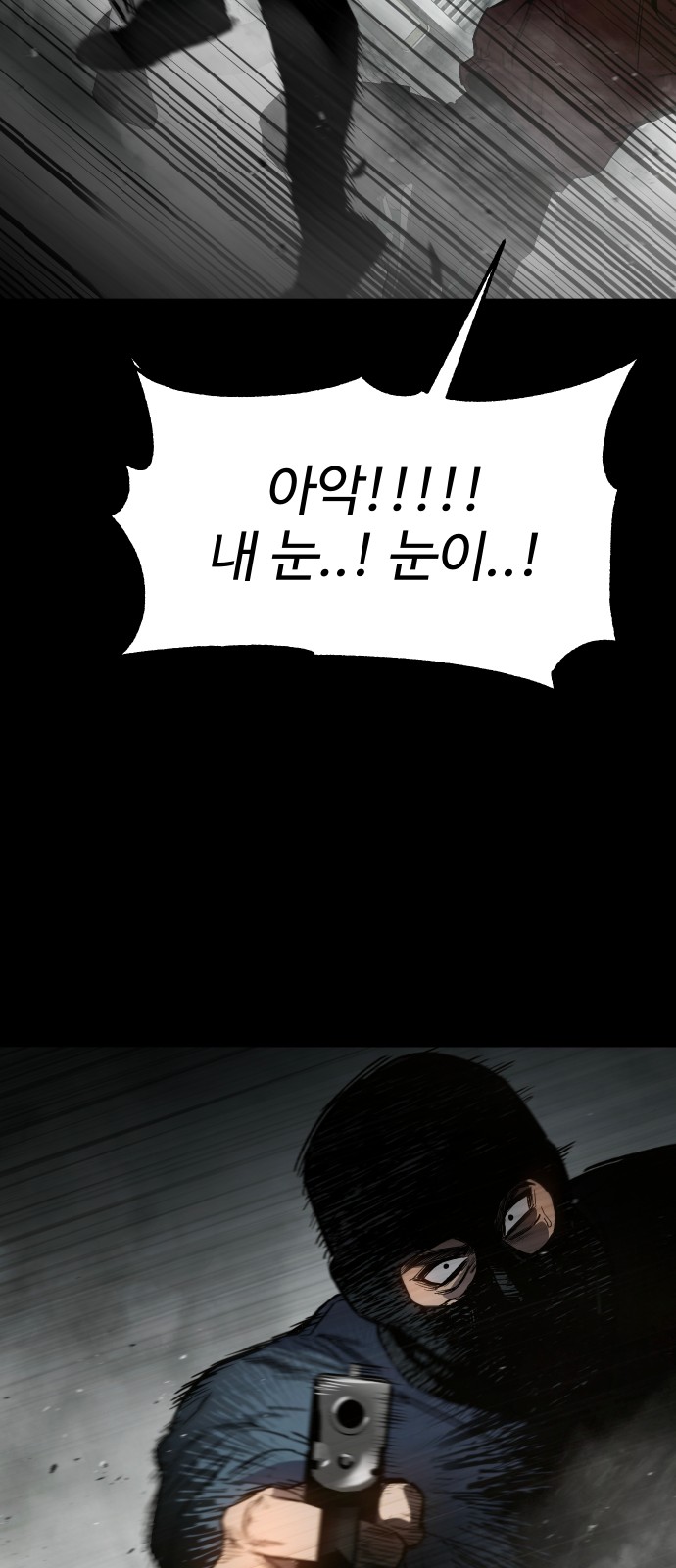 113 페이지