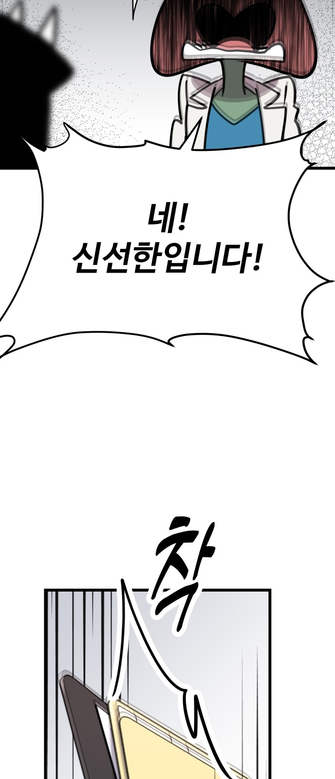 146 페이지