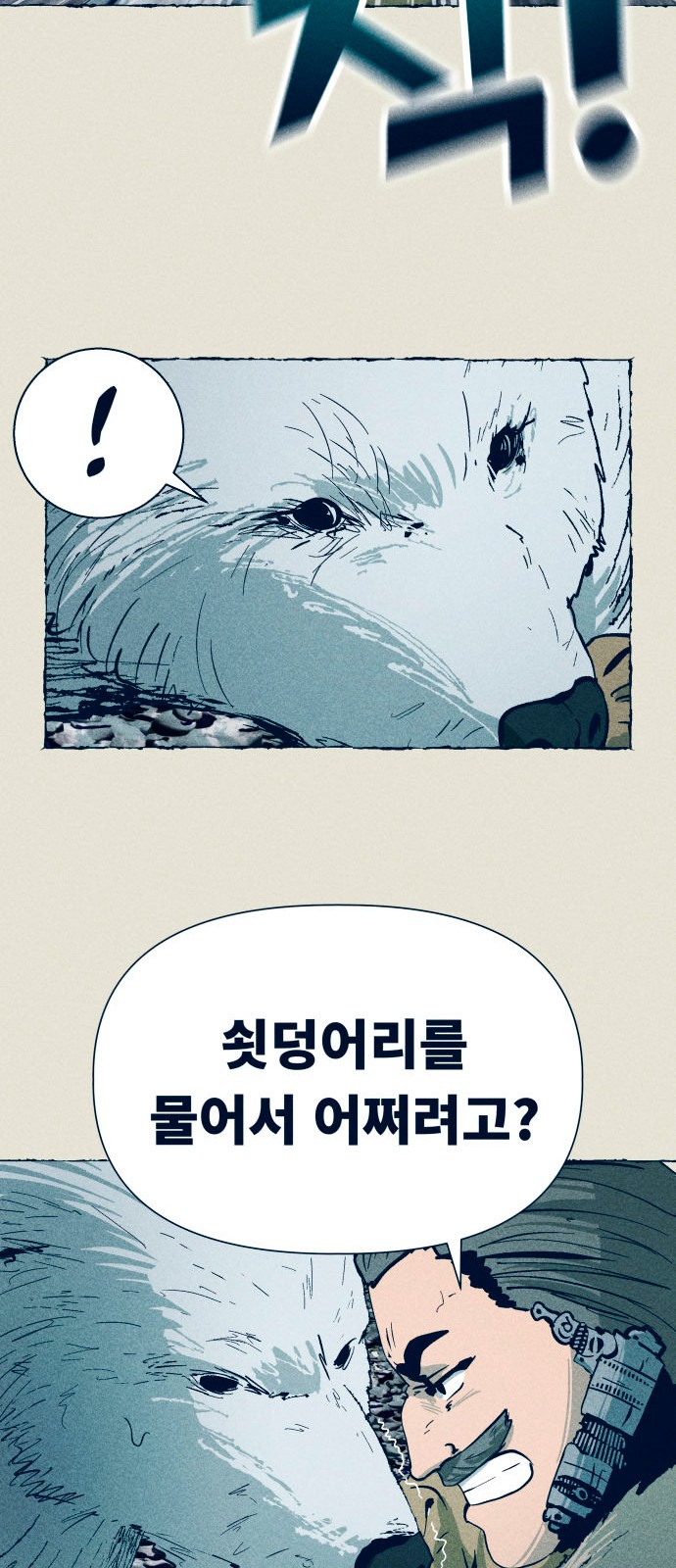 57 페이지