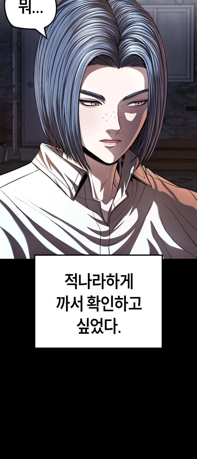 86 페이지