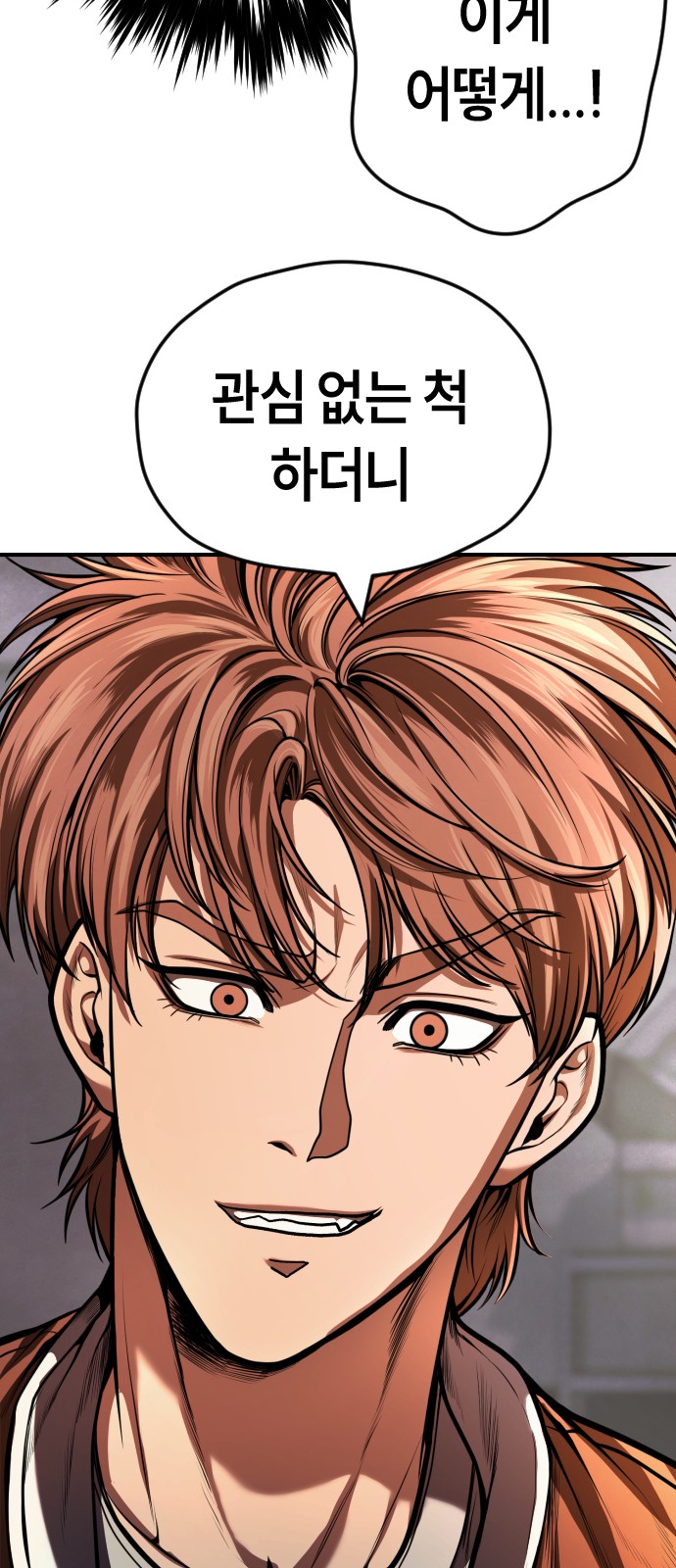 113 페이지