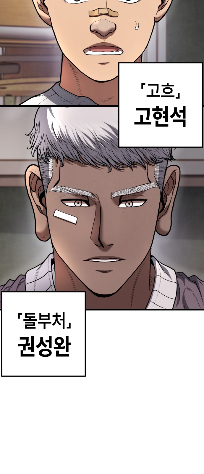 100 페이지