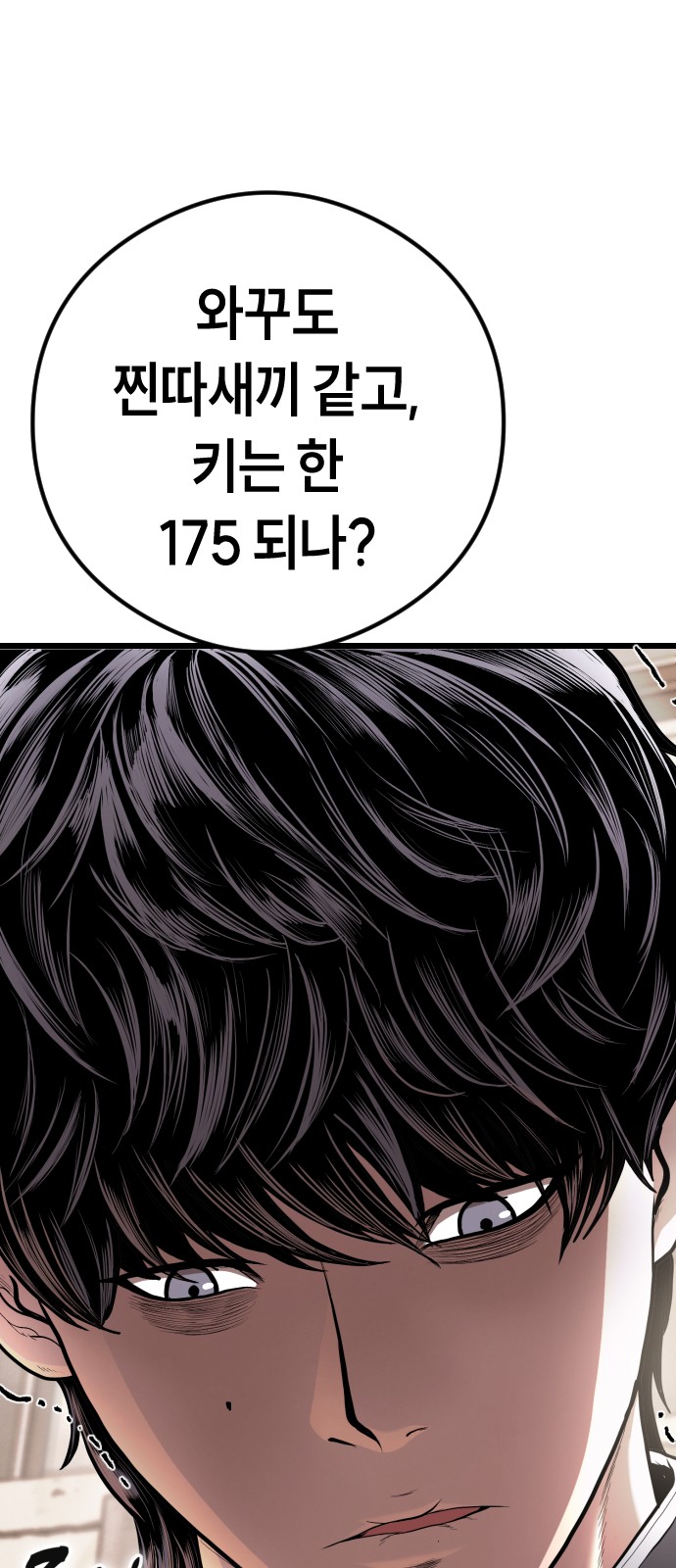 153 페이지