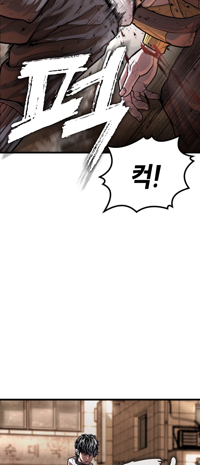 172 페이지