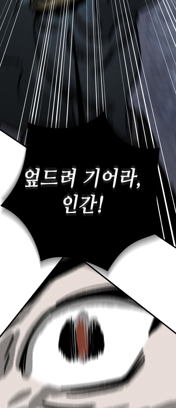 135 페이지