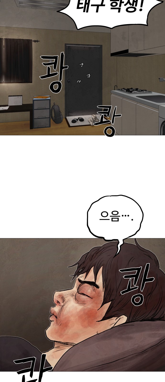 113 페이지