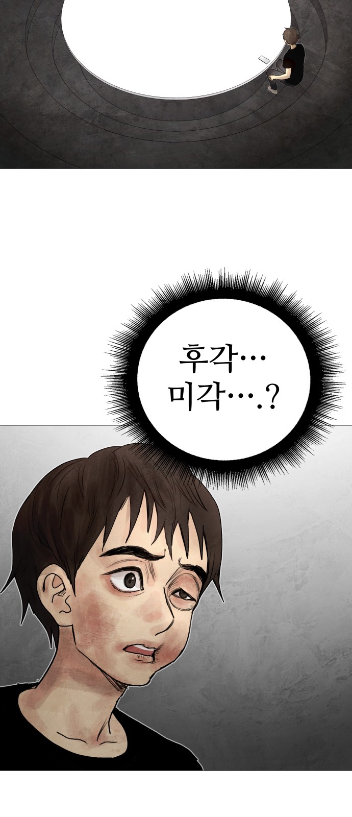 186 페이지