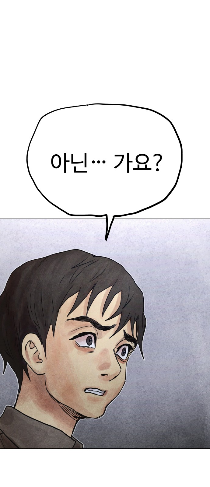 113 페이지