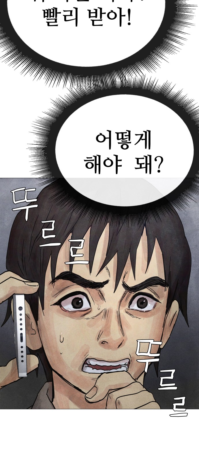 116 페이지