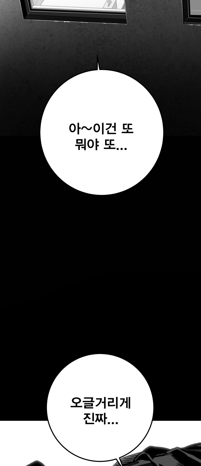 117 페이지