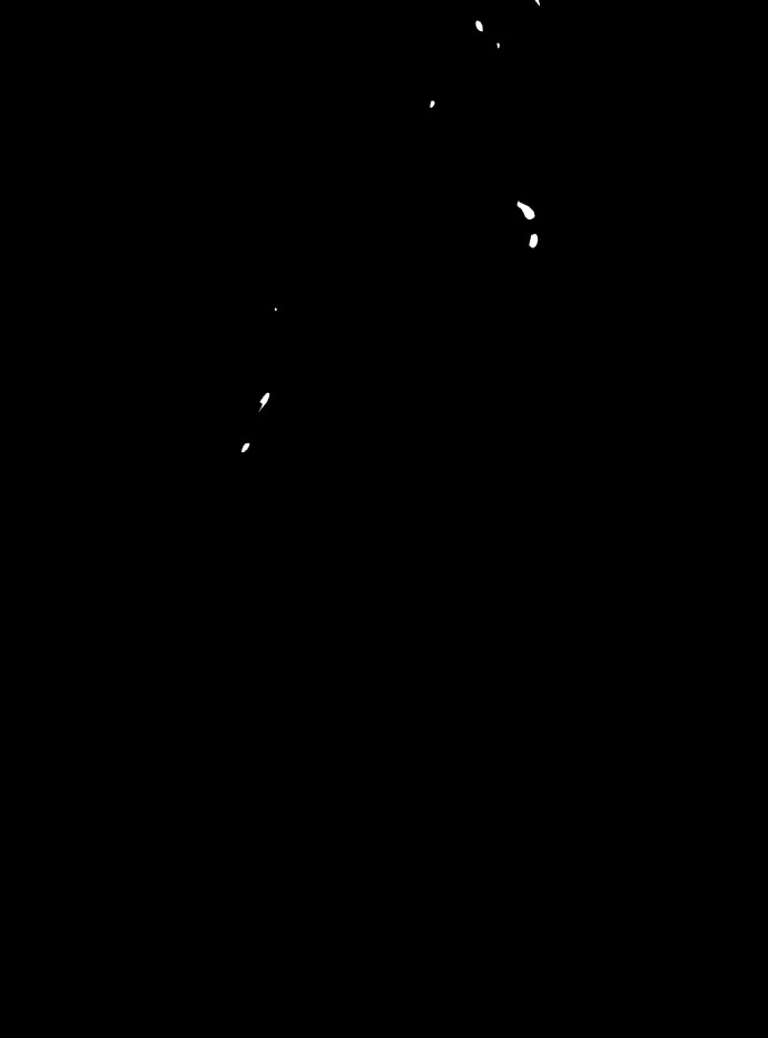 145 페이지