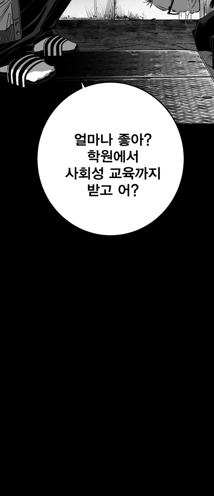 146 페이지