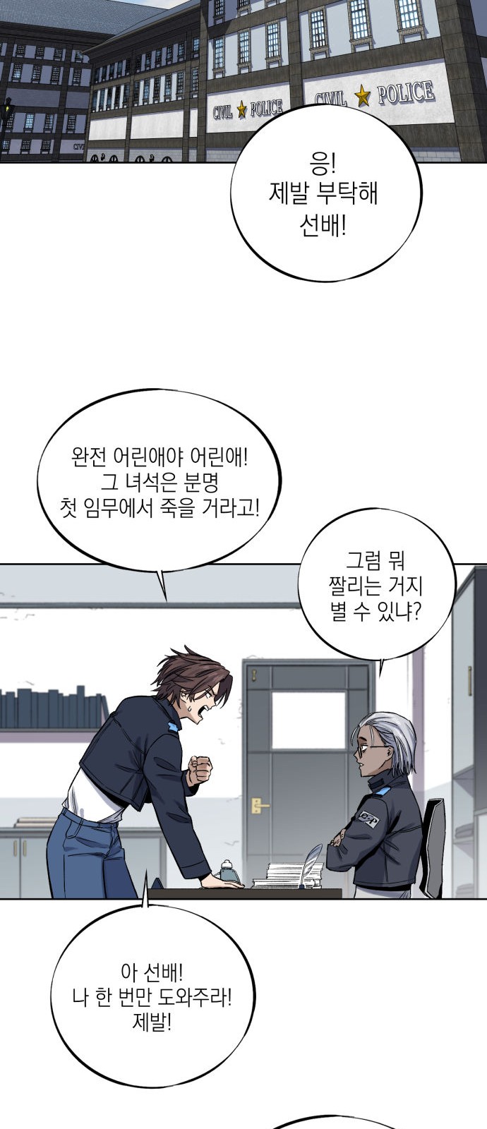 66 페이지