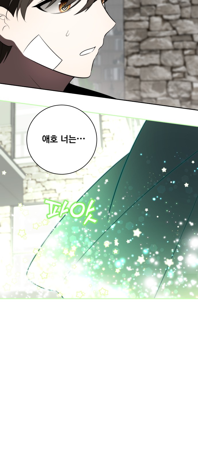 110 페이지