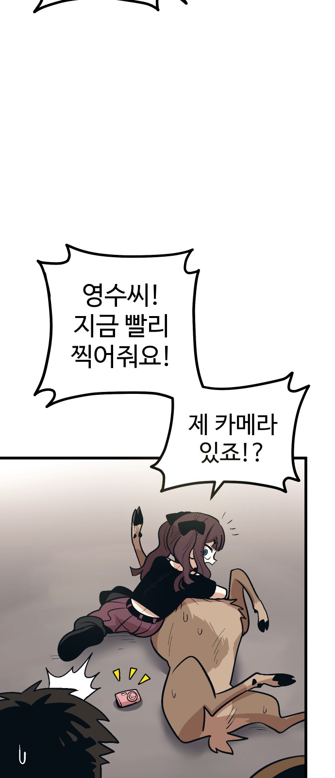 15 페이지