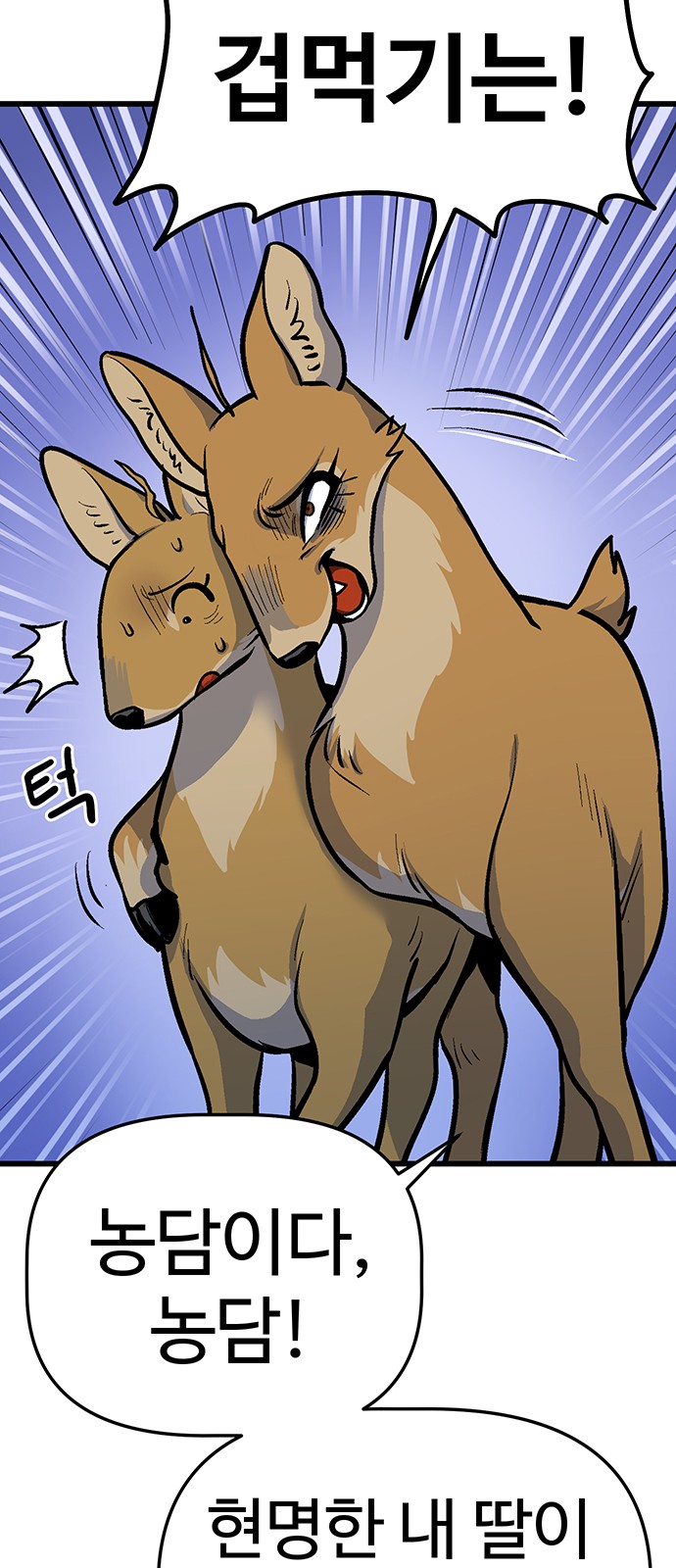 62 페이지