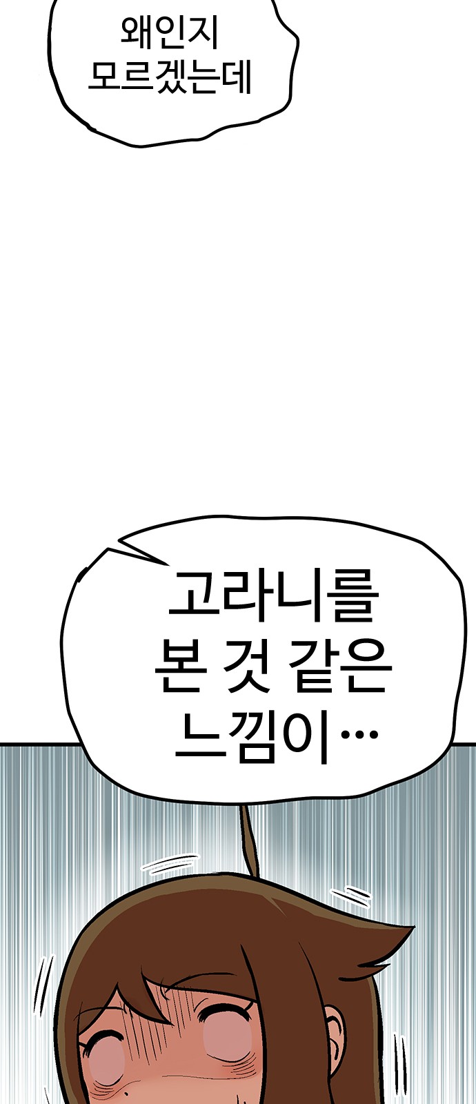 84 페이지