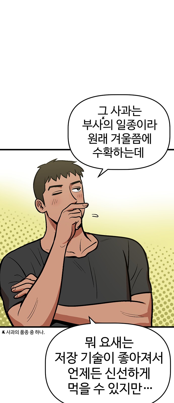 43 페이지