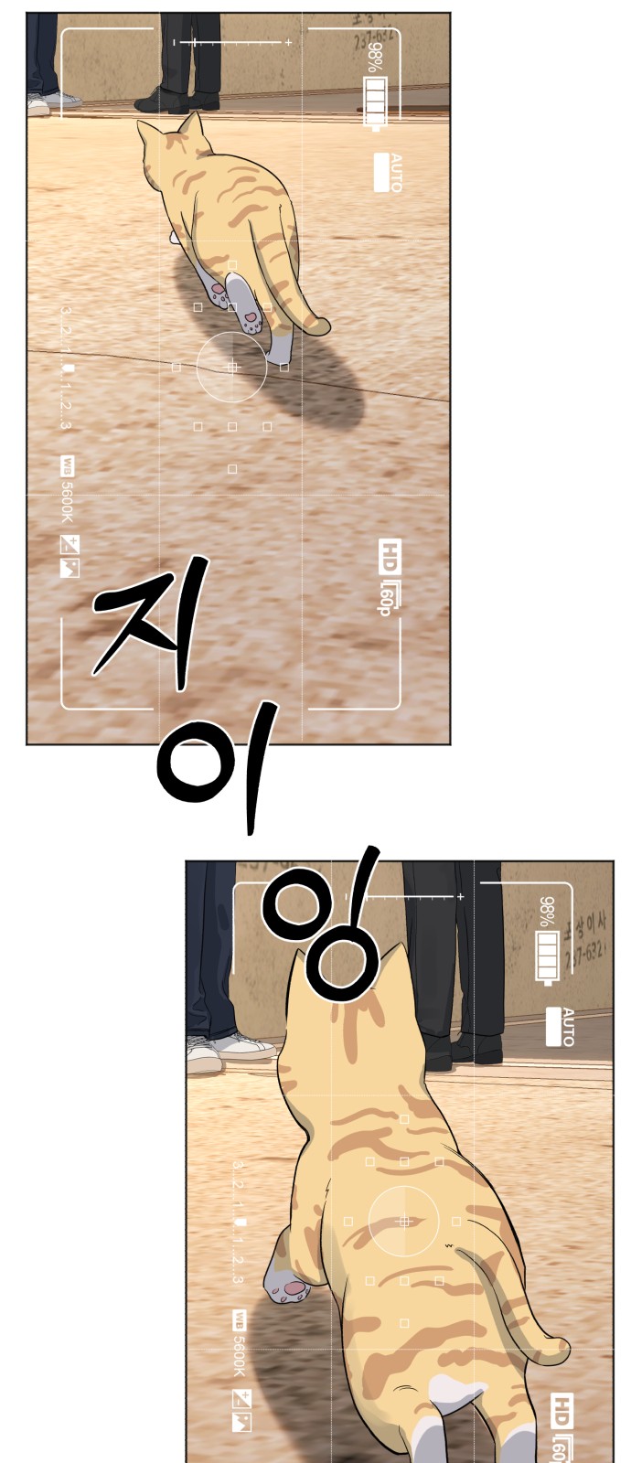 42 페이지
