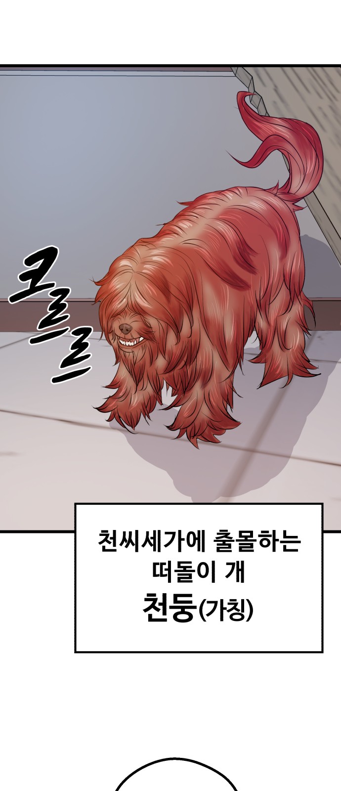51 페이지