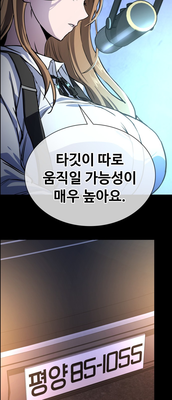 46 페이지