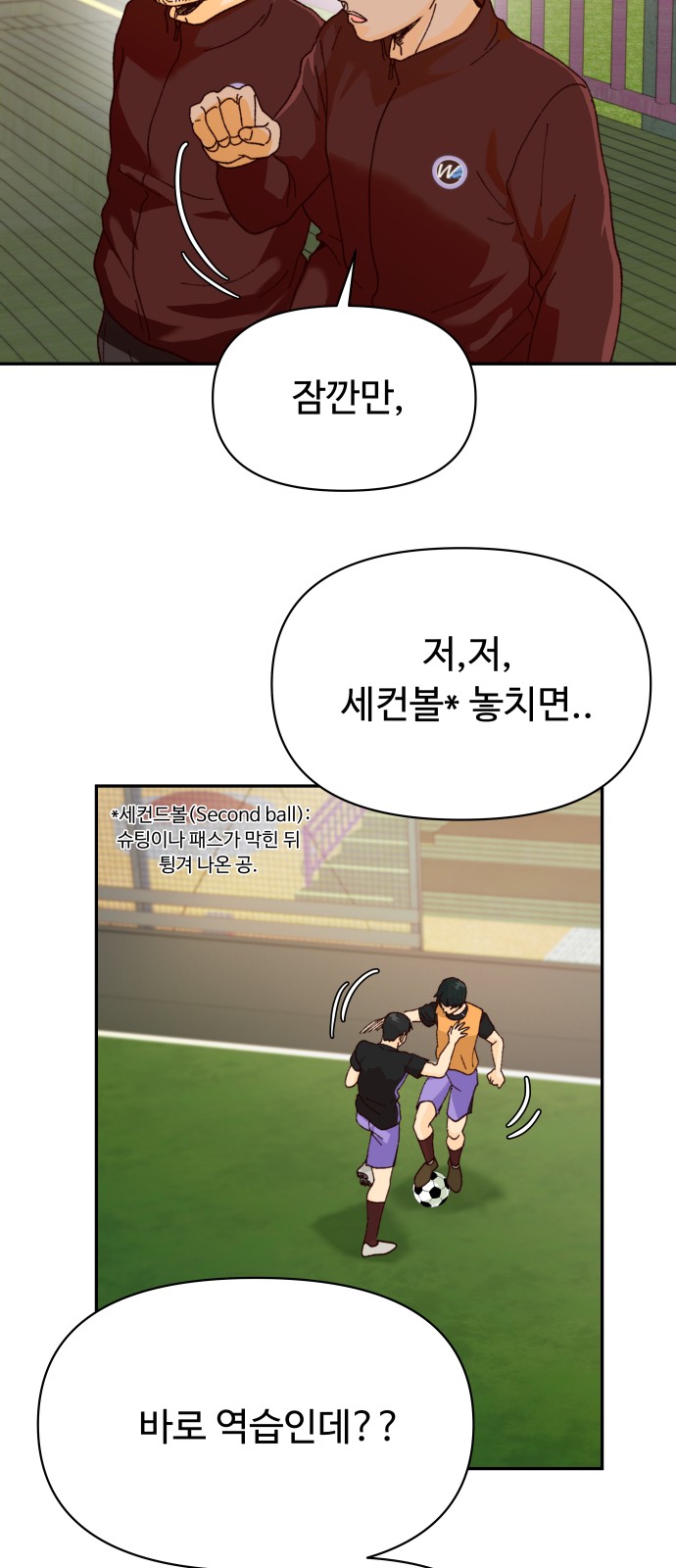 36 페이지
