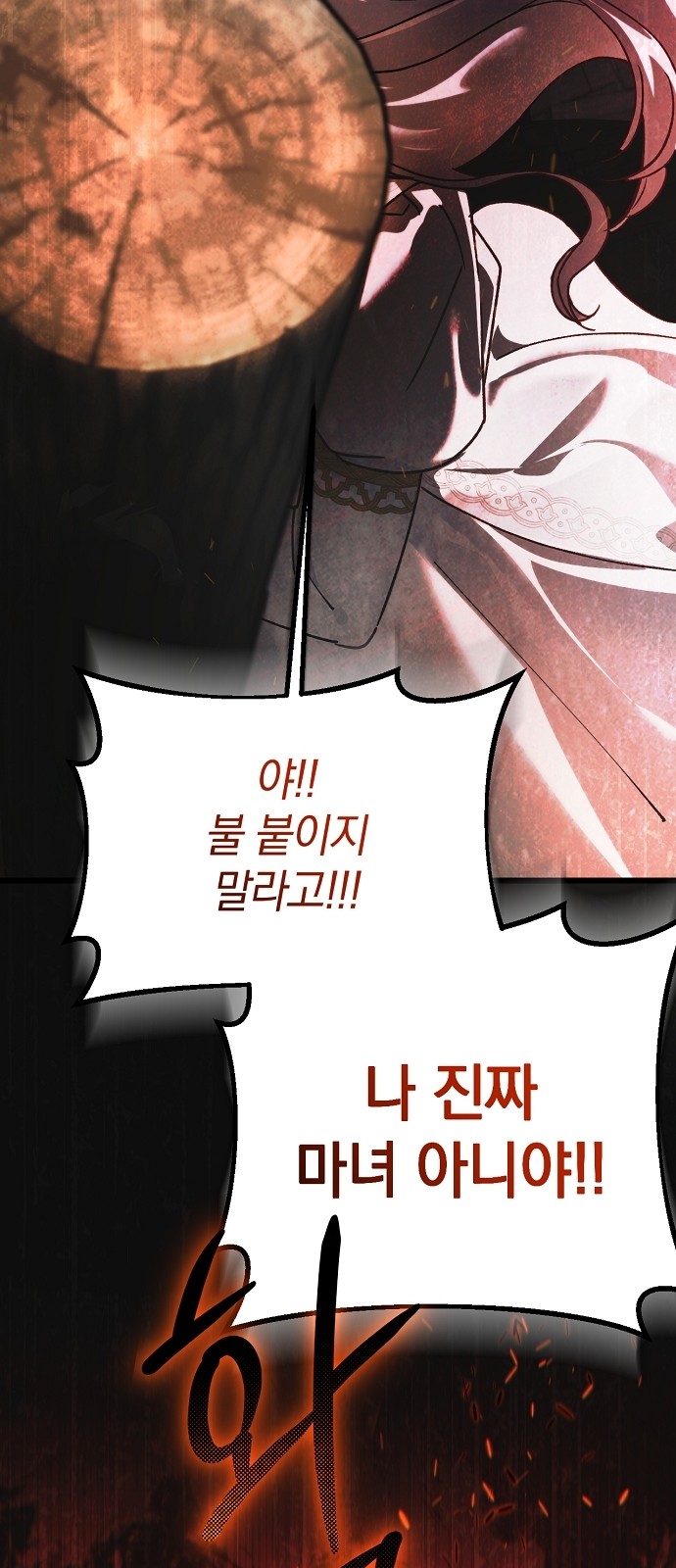 113 페이지