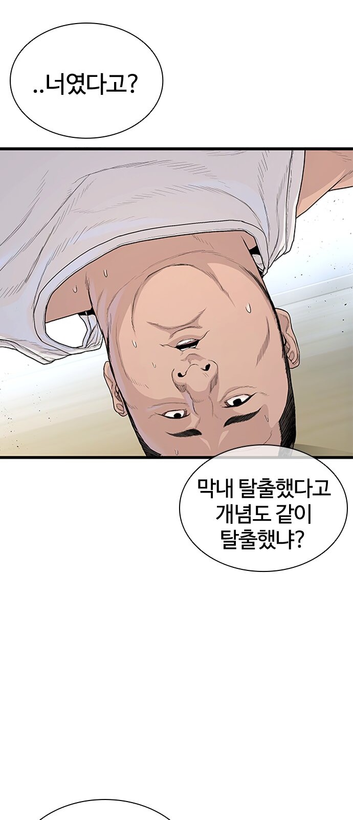 116 페이지