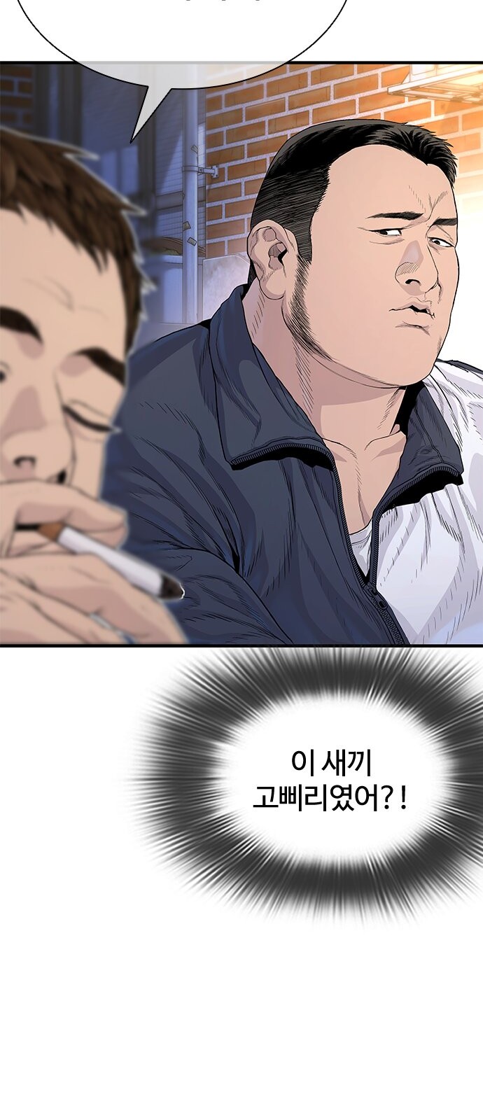 20 페이지