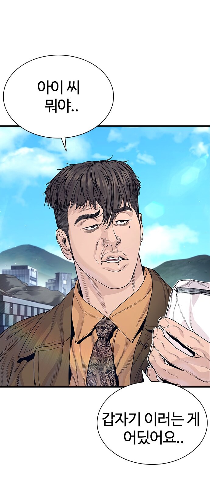 63 페이지