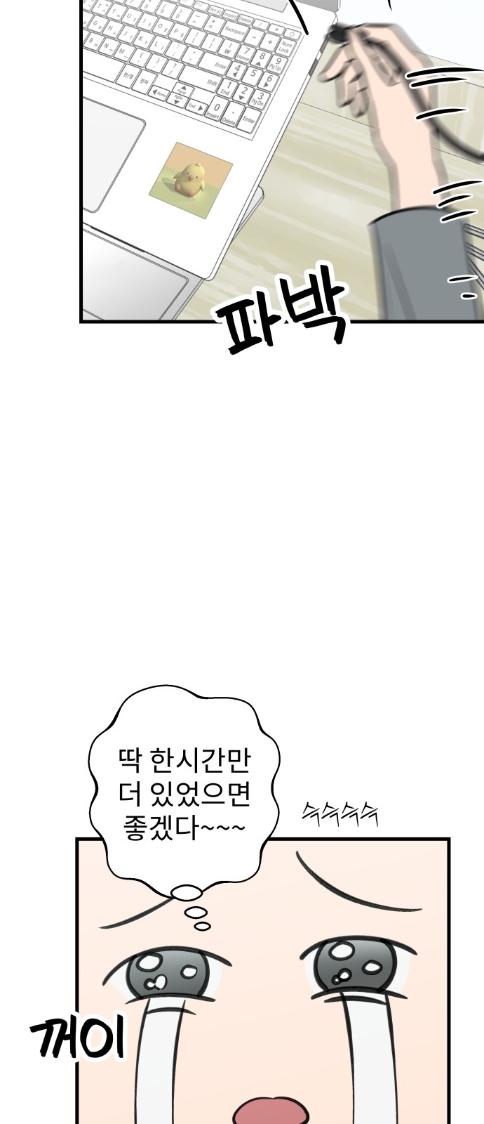 17 페이지