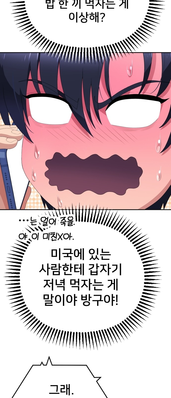 66 페이지