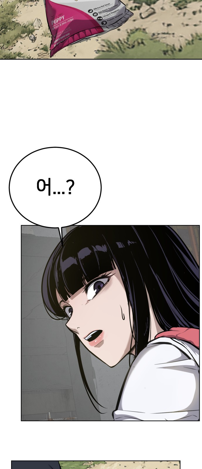 44 페이지