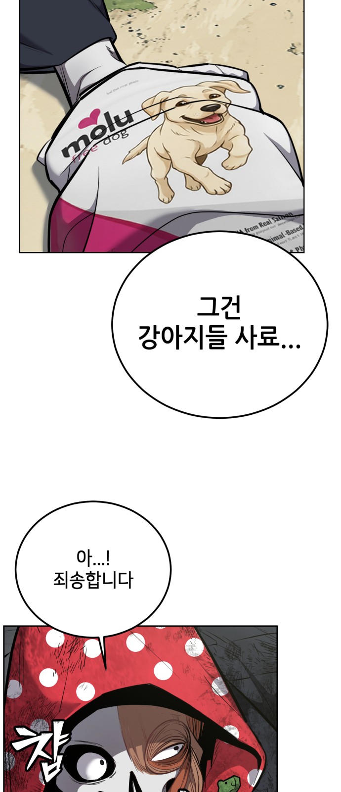 45 페이지