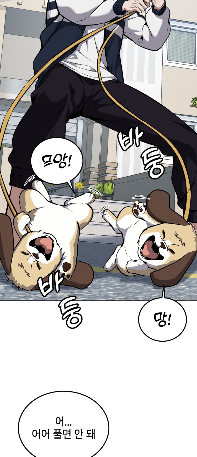 14 페이지