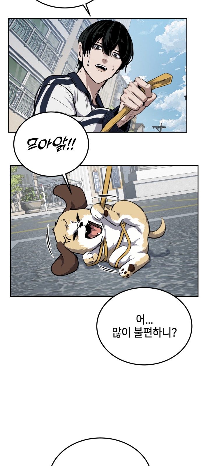 15 페이지