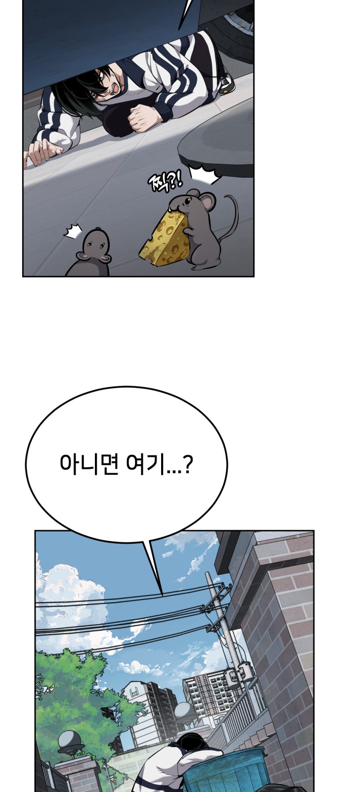 30 페이지