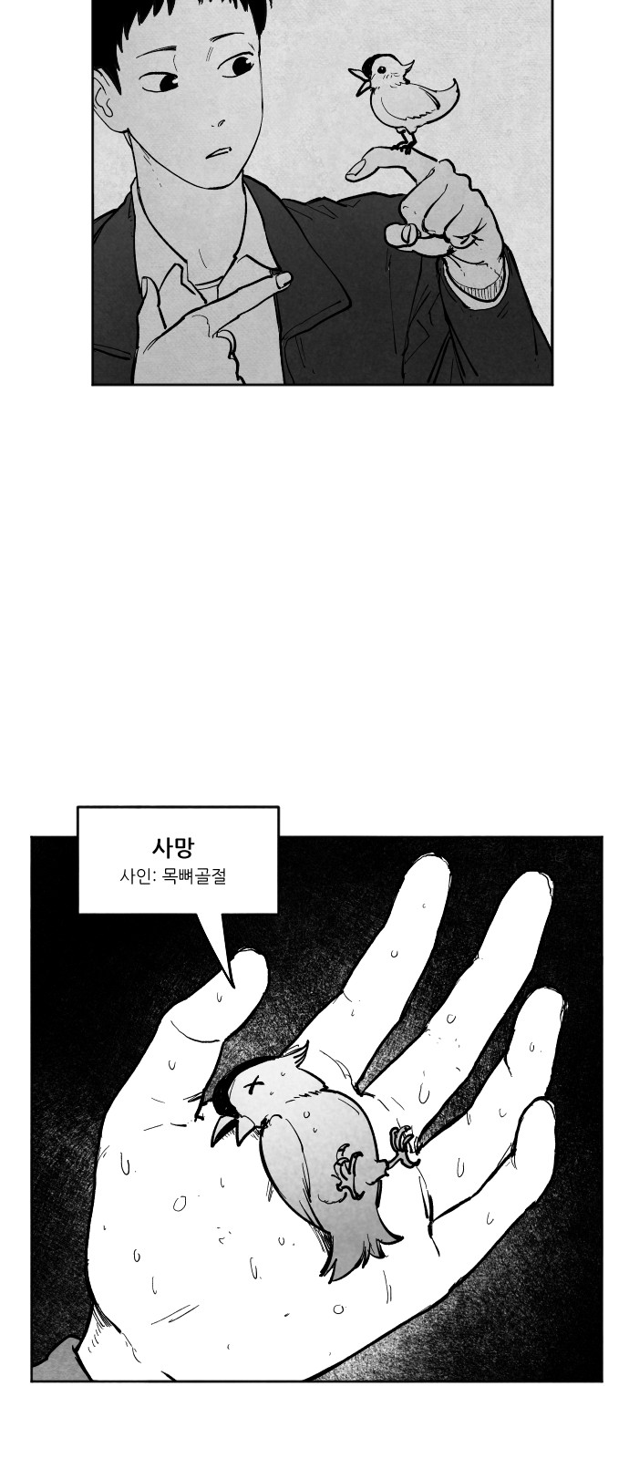 22 페이지