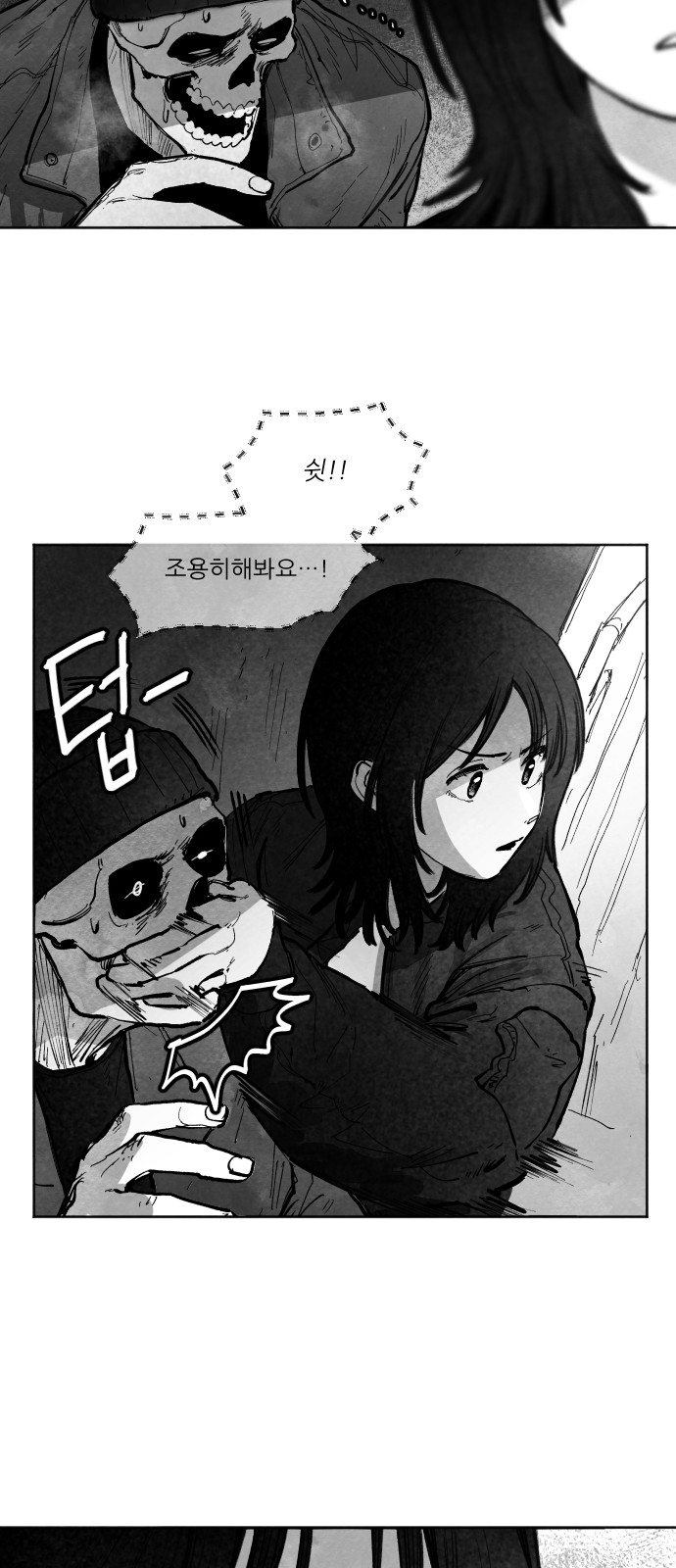 66 페이지