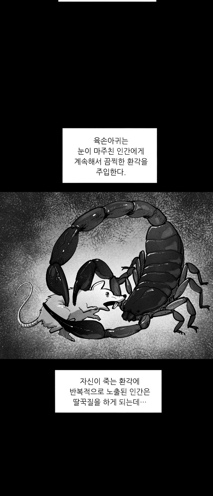 26 페이지
